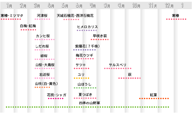 神奈川の樹木葬　龍散禅寺　お花カレンダー