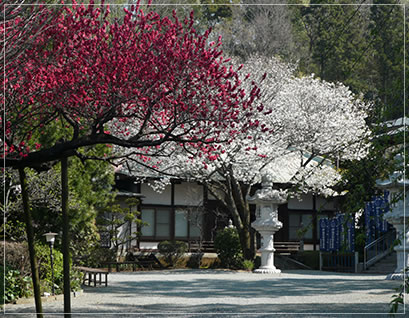 神奈川の樹木葬　龍散禅寺　境内写真