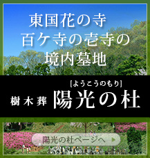 神奈川の樹木葬　龍散禅寺　樹木葬：陽光の杜ページへ