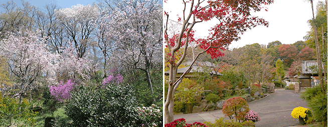 神奈川の樹木葬　龍散禅寺　須弥山写真