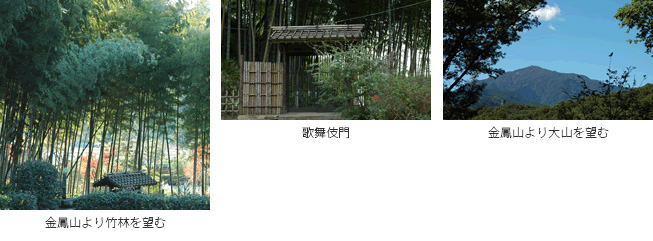神奈川の樹木葬　龍散禅寺